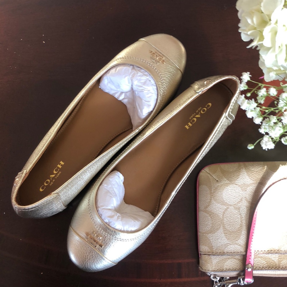 Brand new !!!Trade yes !! 210.00 shoeS price FIRM